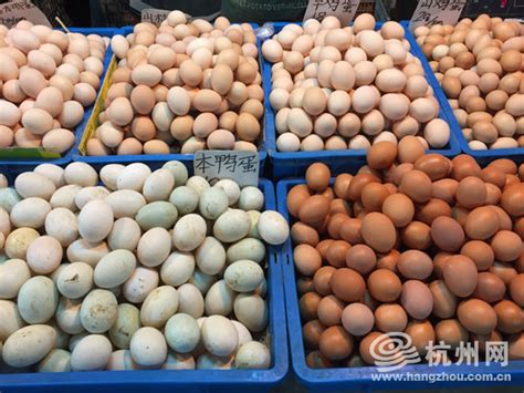 端午临近蛋价有变 鸭蛋未涨 鸡蛋下跌每斤平均5.27元 - 杭网原创 - 杭州网