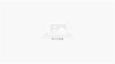 重庆大足旅游局官方网站定制开发，扁平化事业单位网站-八戒软件-猪八戒网