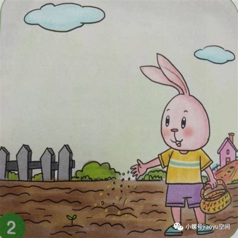 小兔种菜看图写话,小白兔种白菜看图写话,小兔种菜(第4页)_大山谷图库