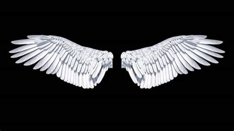 燕型翅膀儿童成人天使羽毛翅膀 天使翅膀舞台表演天使羽毛翅膀-阿里巴巴