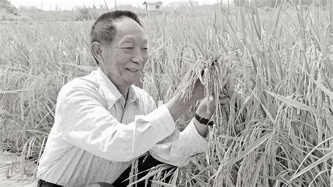 杂交水稻之父—袁隆平，斩获无数荣誉，用一生时间让世界不再挨饿_腾讯视频