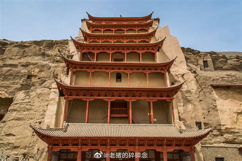九层塔图片