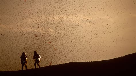 《火山挚恋》是一部与众不同的纪录片 - 知乎