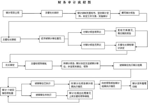 财务审计流程图