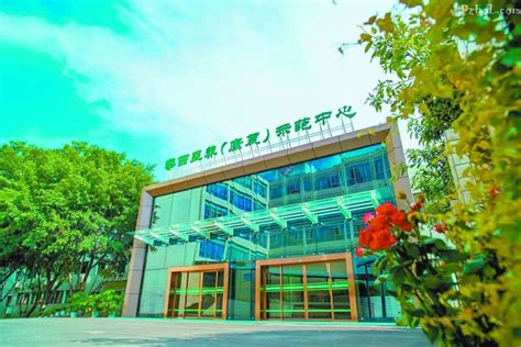 广西中医药大学和攀枝花学院哪个好 2023分数线排名对比