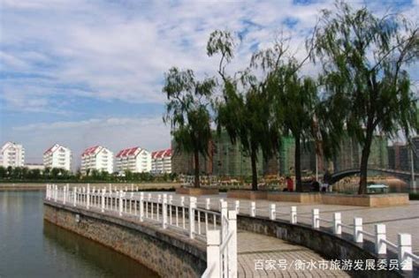 河北衡水：安平县交通运输局工程项目上演“自己招标，自己中标” - 知乎