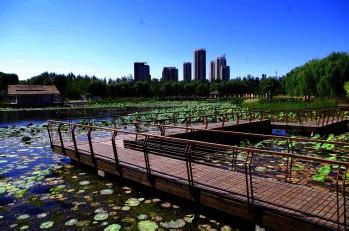 北京通州：潞城镇“美丽生态”催生“美丽经济”