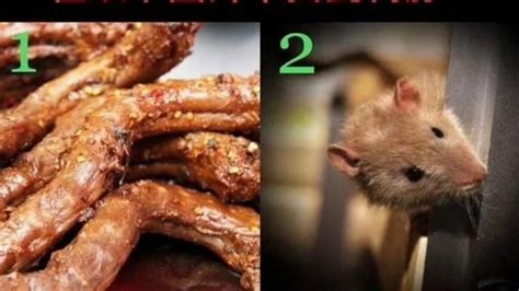 “鼠头鸭脖”争议不断，动物专家发声：若图片属实，80％概率为鼠头_腾讯视频