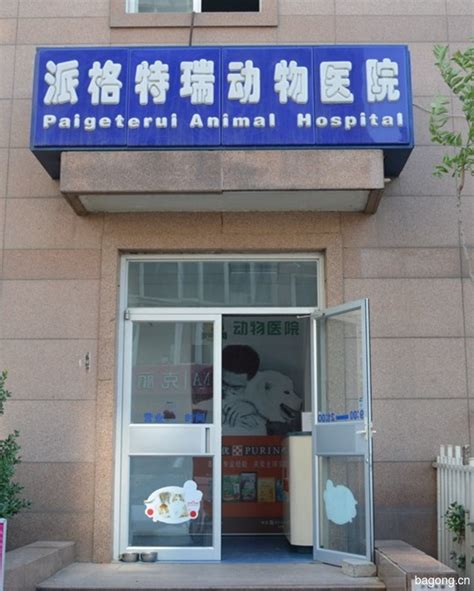 北京派格特瑞动物医院