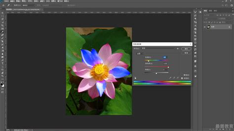 Photoshop2020教程——Camera Raw滤镜 - 最需教育