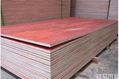广西建筑模板厂家-贵港建筑木模板-建筑模板多少钱一张-广西来宾森度木业有限公司