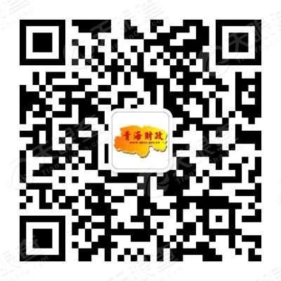 青海省2019—2020年度政府集中采购目录及限额标准-Word模板下载_编号qerzkwpk_熊猫办公