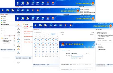 辽宁省电子税务局客户端_官方电脑版_华军软件宝库
