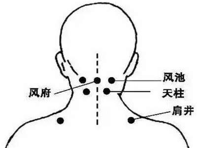 人迎脉位置图解图片