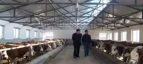 免费养殖场设计、奶牛场设计、肉牛场设计\牛舍图纸\图纸设计价格_厂家_图片 -Daxuwang大畜网