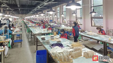 彩印复合袋--自贡市顺达彩色印刷有限公司