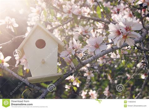 Little Birdhouse in Spring Over Blossom Cherry Tree. Stock Image ...