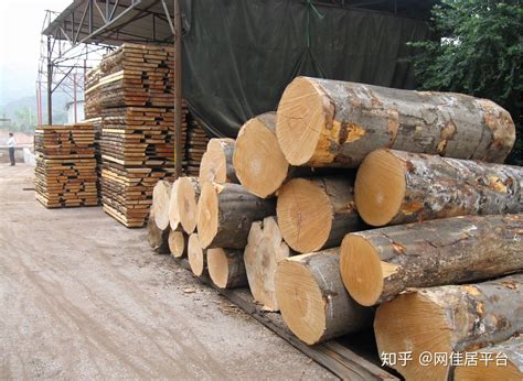 山樟木--板材原木_产品图片信息_中国木材网！