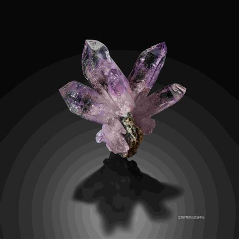 紫水晶的产地有哪些？各地的紫水晶都有什么区别怎么选择？|赞比亚|紫水晶|产地_新浪新闻