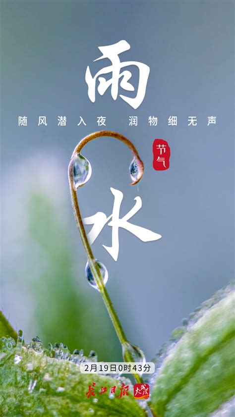 今日，雨水_武汉_新闻中心_长江网_cjn.cn