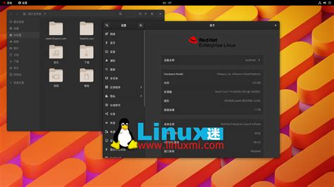 Red Hat Linux和PC-BSD操作系统新版发布_软件_科技时代_新浪网