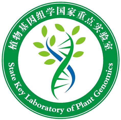 中国农业大学新闻网 学校要闻 大观视线 | 浇灌出绿色的希望——走进中国农业大学石羊河实验站（一）
