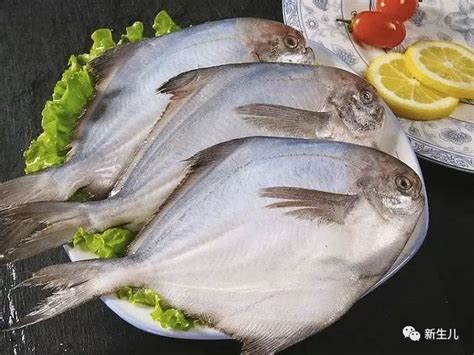中华鲟鱼怎么吃最好吃（营养解馋的蒜烧鲟鱼最好吃，美味十足超过瘾） | 说明书网