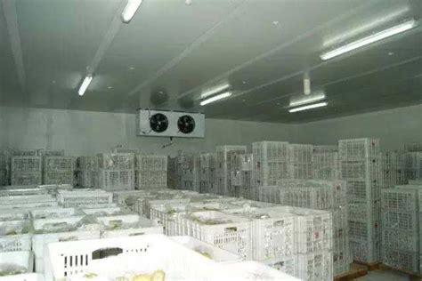 39_重庆冷藏库出租电话，产品质量严格把关_重庆中冷运冷链物流有限公司