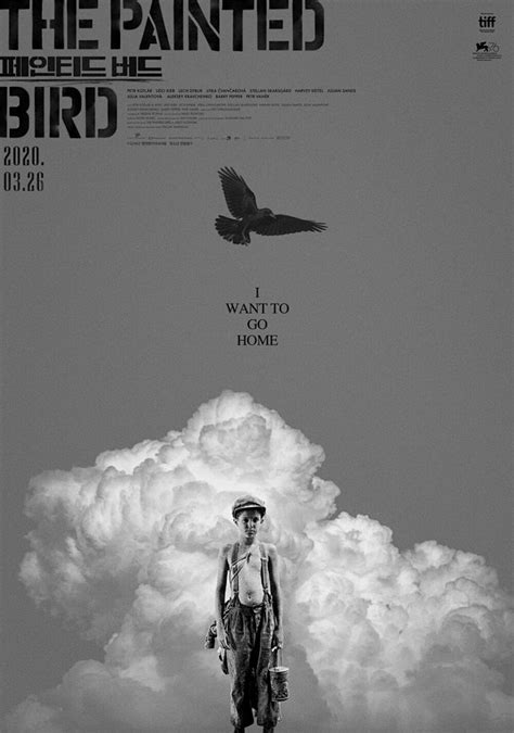 《被涂污的鸟》4k高清免费在线观看 - 电影完整版(未删减) - 4k影视