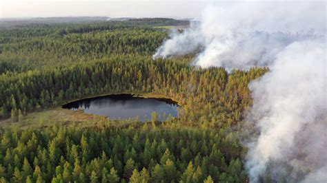 俄罗斯布里亚特森林火灾蔓延近700公顷 - 2023年4月30日, 俄罗斯卫星通讯社