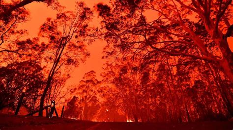 澳大利亚大火为什么就是灭不掉？| 地球知识局 - 知乎
