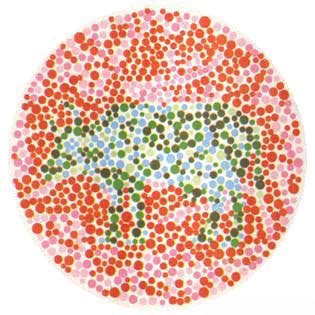 Geoscientist 的图像结果