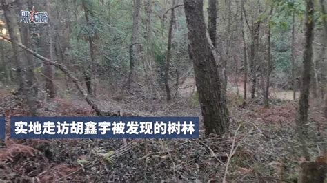 村民称找鸡时发现胡鑫宇_腾讯视频