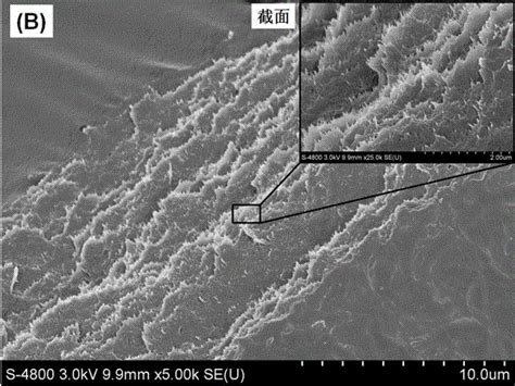 纤维素纳米晶体的制备方法与流程
