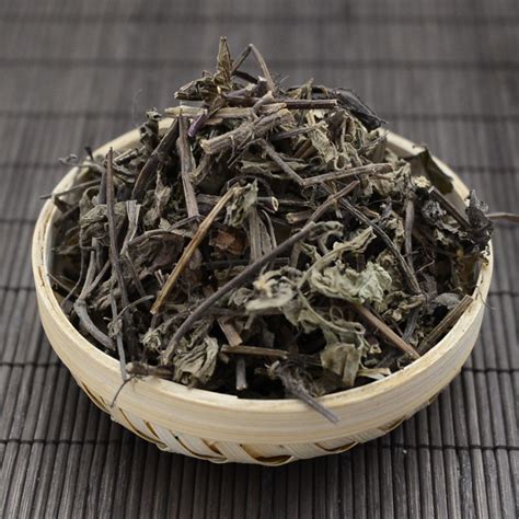 正宗神仙草图片