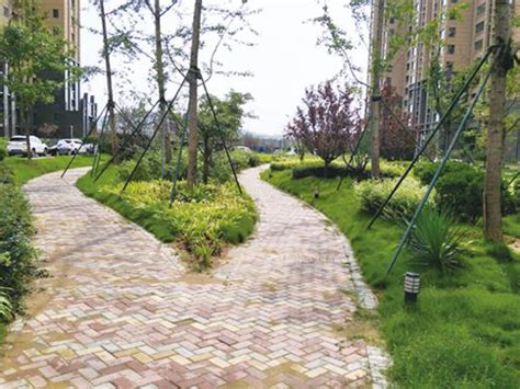 阳坊道路绿化在建工程 - 市政园林工程 - 北京园林绿化公司|北京园林公司|北京绿化公司|园林景观设计|园林绿化工程公司--福森园林