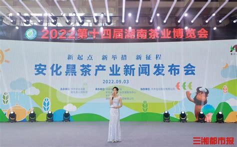 湖南省新能源产业协会到安化县考察