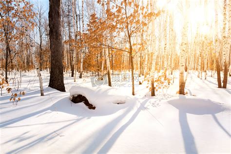 冬天森林，美女奔跑，森林雪景视频素材,延时摄影视频素材下载,高清3840X2160视频素材下载,凌点视频素材网,编号:425969