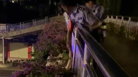 女子醉酒坠下天桥护栏，被三角梅花带托住_凤凰网视频_凤凰网