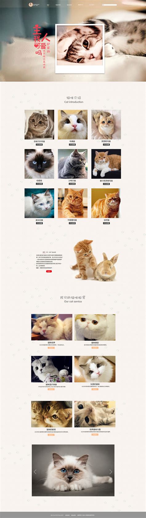 猫咖网页|网页|其他网页|Alpha喵 - 原创作品 - 站酷 (ZCOOL)
