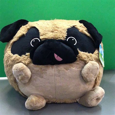 Pug Squishable – Mudpuddles Toy Store
