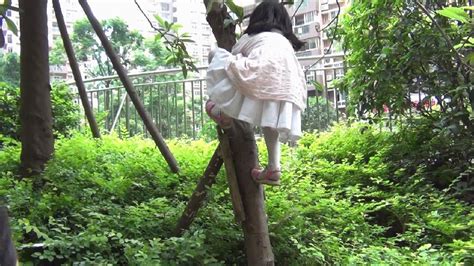 重庆森林公园2000多斤枇杷被市民摘走--人民网食品频道--人民网