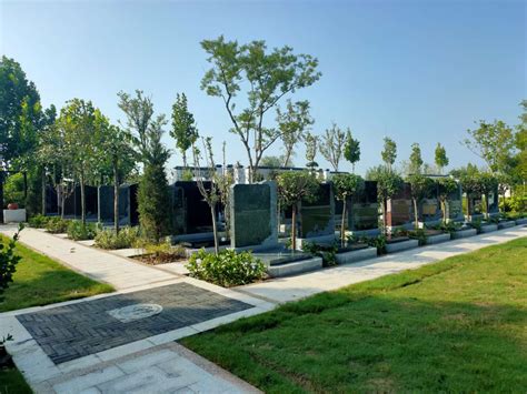 浙江绍兴现代公墓发展现状：墓园趋向园林化，墓碑呈现艺术化