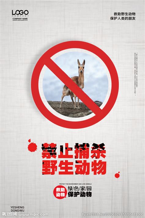 禁止吃野动物设计图__其他_广告设计_设计图库_昵图网nipic.com