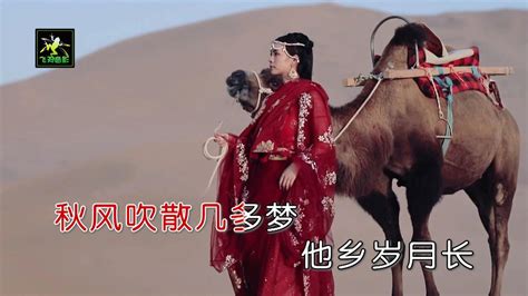 梦驼铃粤语版（采薇薇演唱）HD_腾讯视频