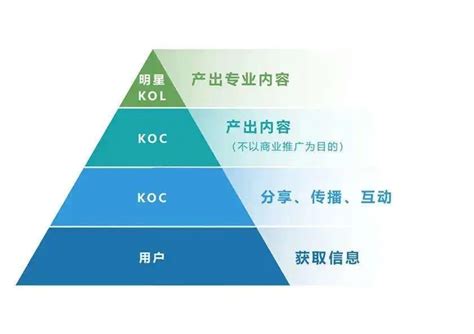 KOC、KOL如何投放，能够给品牌带来价值最大化？