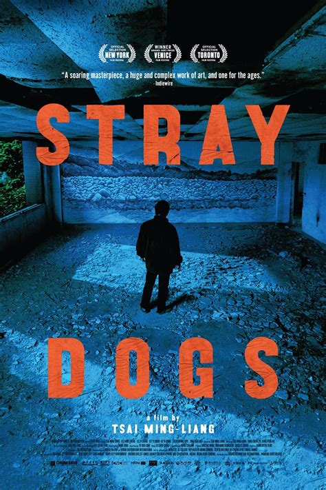 Stray Dogs | Rotten Tomatoes