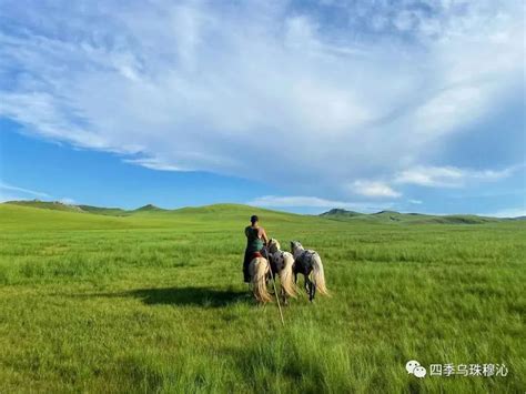 东乌珠穆沁旗：在绿色发展中重塑美丽乡愁-草原元素---蒙古元素 Mongolia Elements