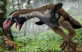 日本首次发现恐龙时代“鸽”化石，比孔子鸟晚，或改写鸟类进化史_凤凰网