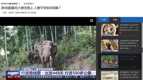 [新闻直播间]大象在路上 人象平安如何保障？【CCTV13 新闻直播间2021年06月11日_www.isenlin.cn
